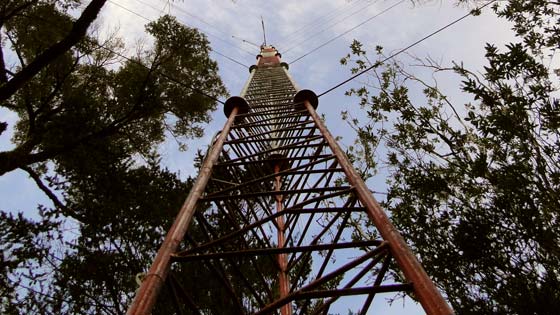 Torre medición carbono