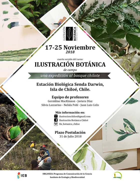 Afiche curso ilustración botánica