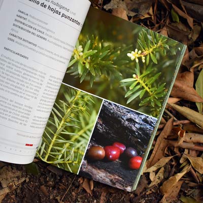 libro botanica ecologica