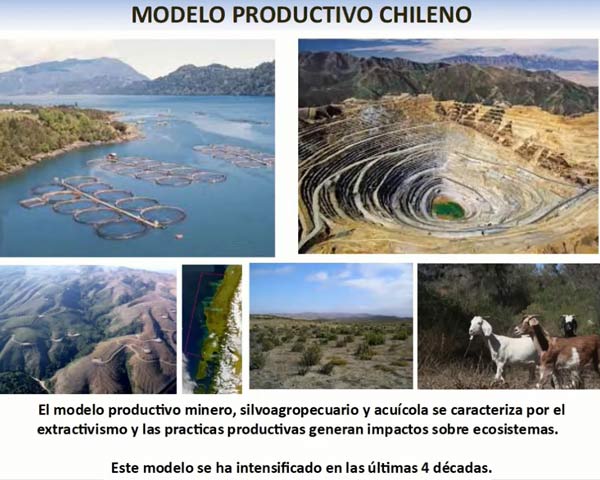 modelo productivo chileno